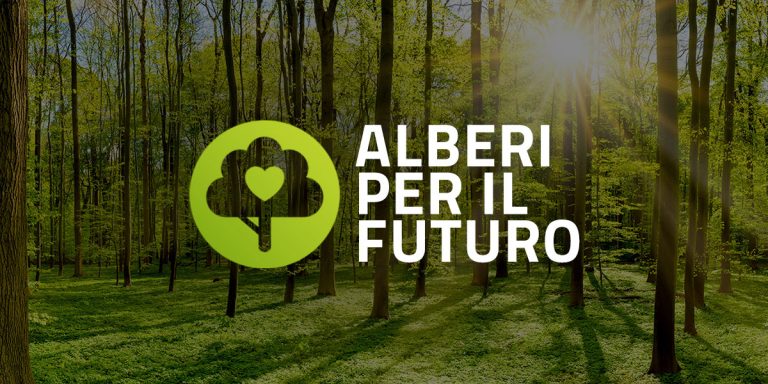 Un albero per il futuro alla scuola primaria Cittadella