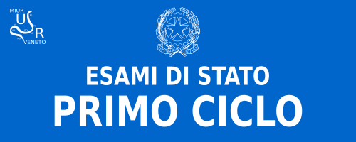 COM.N. 317 - DOCUMENTI ESITI ESAMI FINALI 1° CICLO D'ISTRUZIONE.